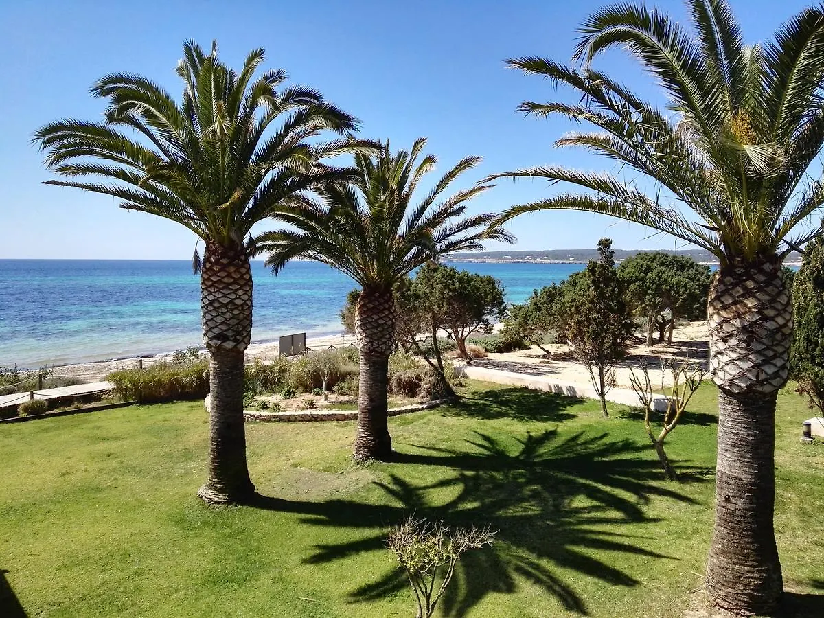 Gecko Hotel & Beach Club 플라야미그호른 스페인